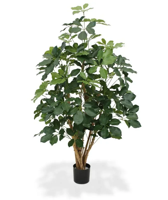 Kunstig Schefflera Exotica træ H 120 cm Kunstige træer