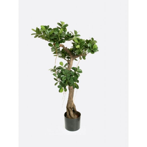 Kunstig Ficus Panda H Cm Kunstige Tr Er Silkeplanter Dk