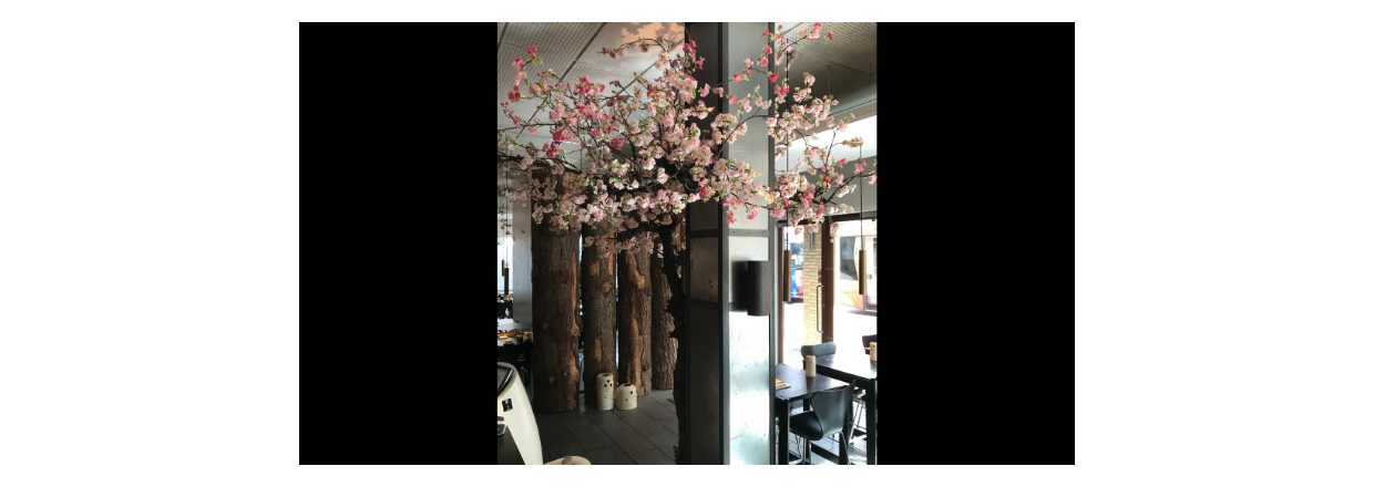 Specialdesignet kirsebærtræer, der skaber en autentisk japansk stemning