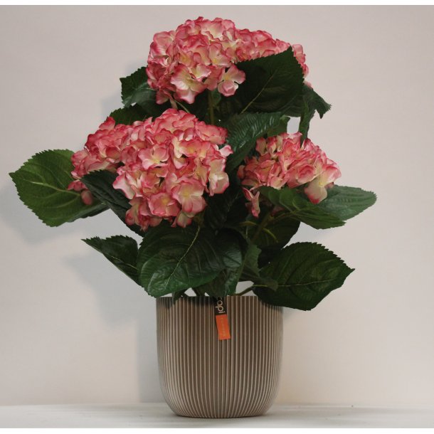 Kunstig hortensia i hvid/rosa - H: 40 cm