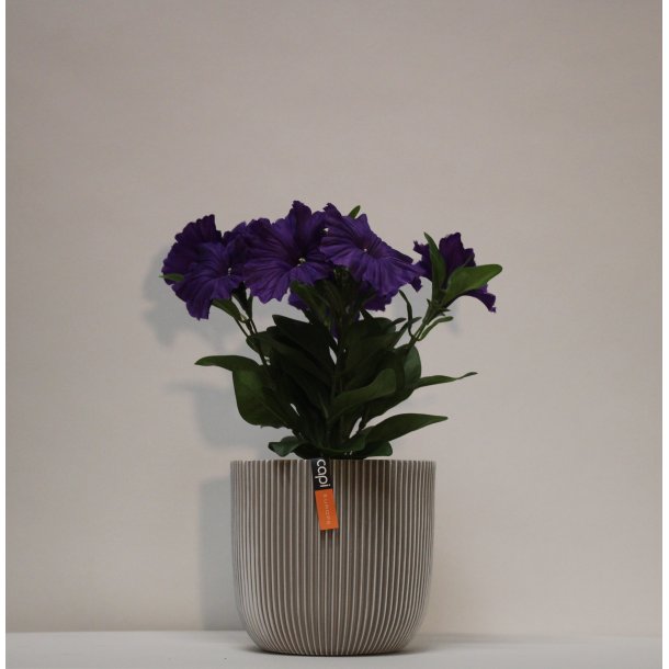 Kunstig petunia violet - H: 25 cm