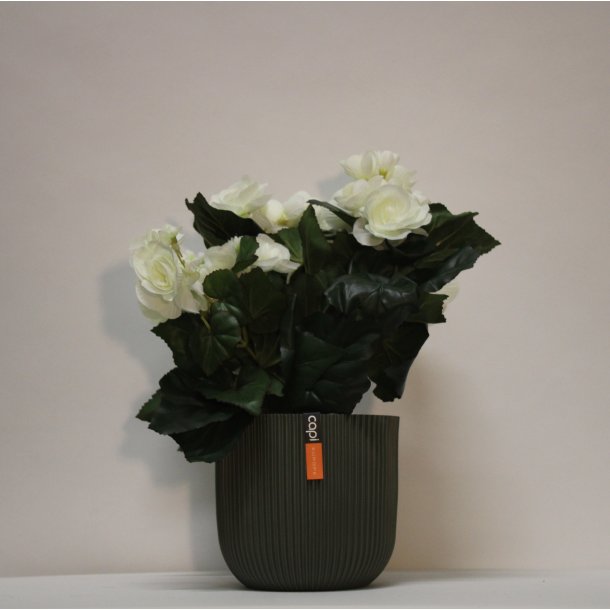 Kunstig begonia hvid - H: 30 cm 