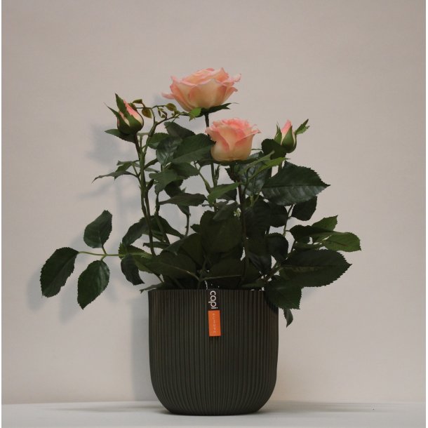 Kunstig rosenbusk rosa - H: 35 cm
