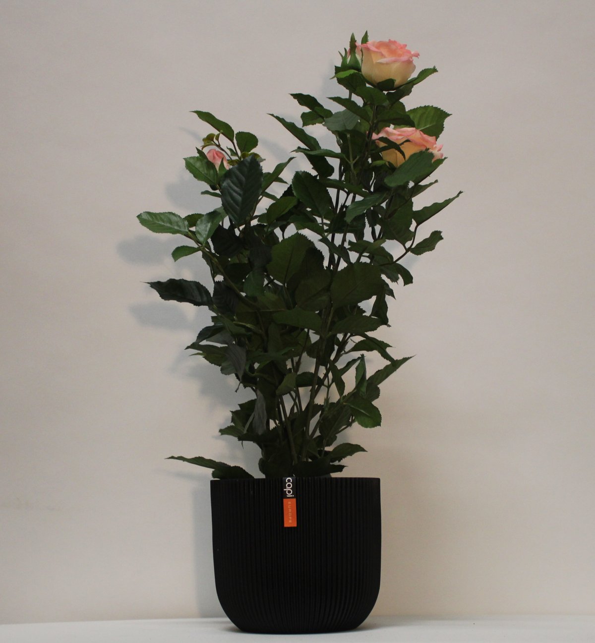 Kunstig rosa - H: 60 cm - Kunstige potteplanter - Green Trading ApS