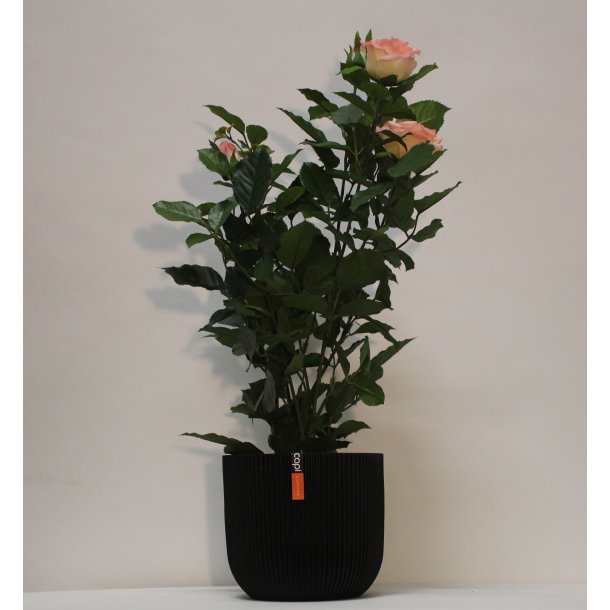 Kunstig rosenbusk rosa - H: 60 cm