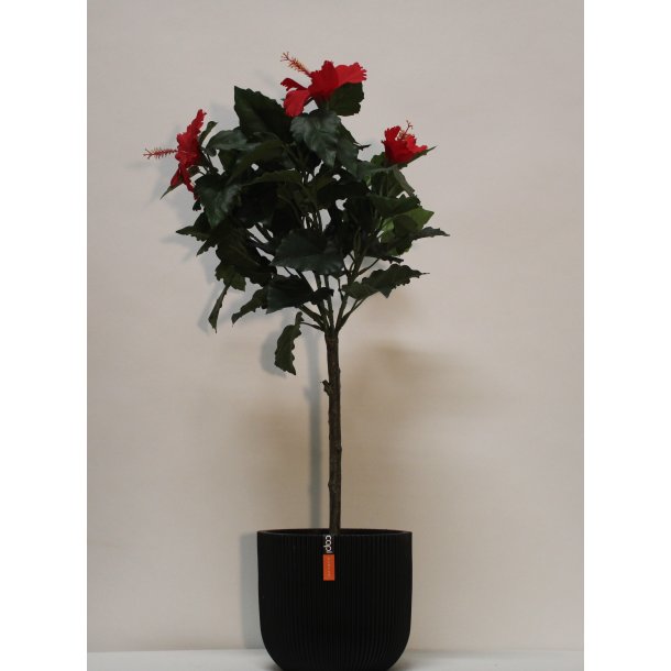 Kunstig opstammet hibiscus rd - H: 66 cm