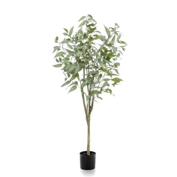 Kunstig Eucalyptus Globulus Tr - H: 150 cm