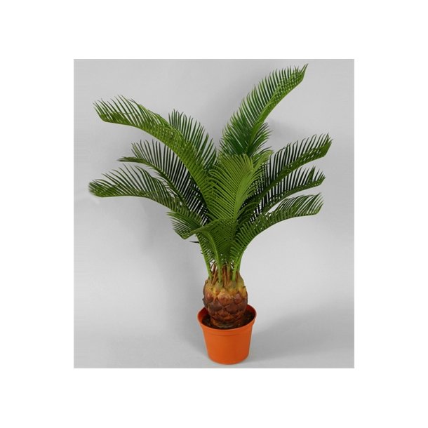 Kunstig lille cycas palme - H: 65 cm