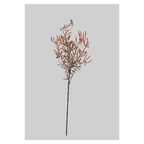  Kunstig brun Asparagus - L: 40 cm