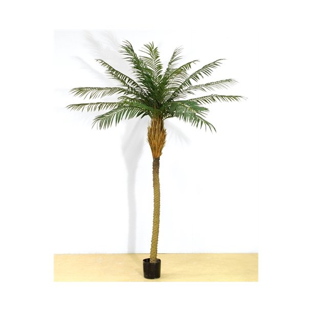 Kunstig phoenix palme 200 cm
