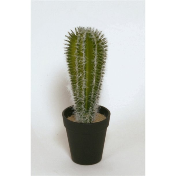 Kunstig kaktus - H: 23 cm