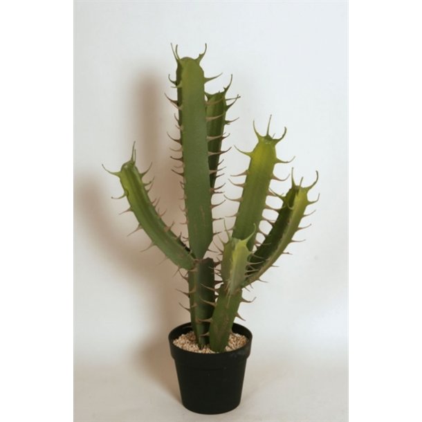 Kunstig kaktus - H: 88 cm