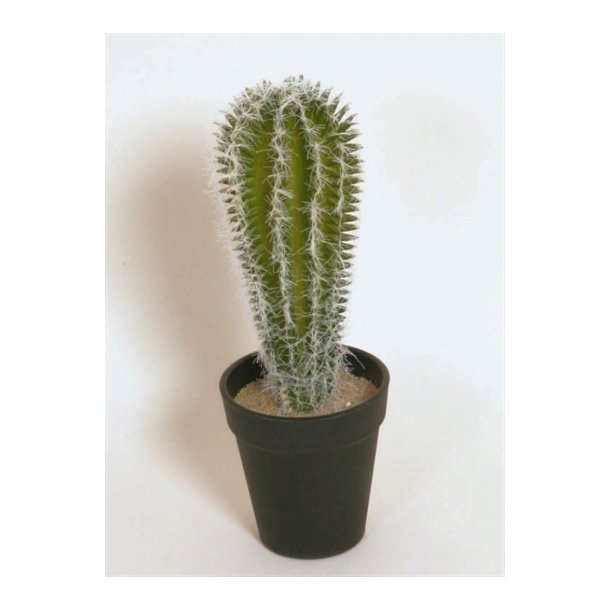 Kunstig kaktus - H: 28 cm