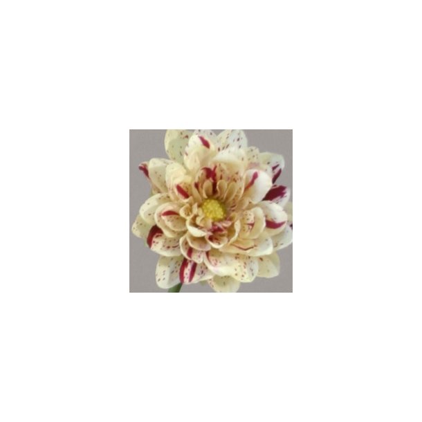  Kunstig hvid/lilla Dahlia stilk - L: 65 cm