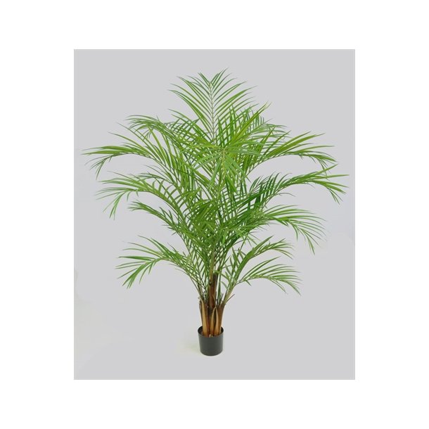 Kunstig areca palme - H: 170 cm