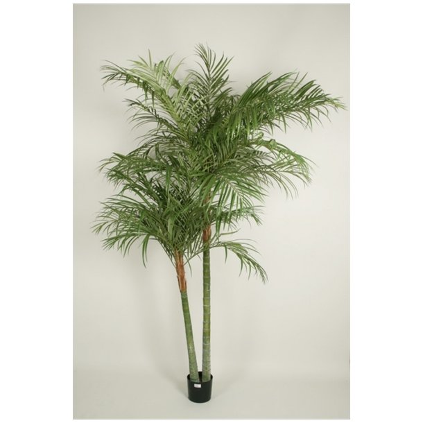 Kunstig areca palme - H 210 cm