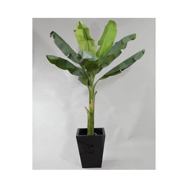 Kunstig banan palme - H: 210 cm