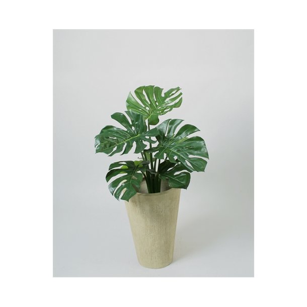 Kunstig finger philodendron - H: 65 cm