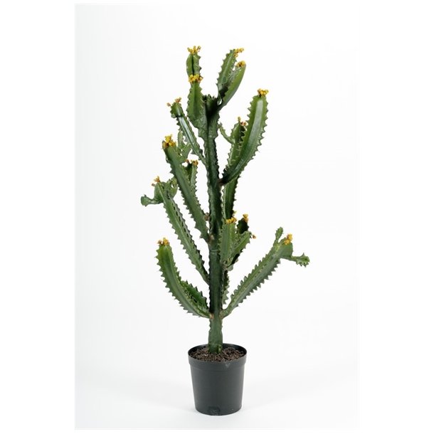 Kunstig finger kaktus - H: 95 cm