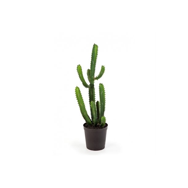 Kunstig finger kaktus - H: 98 cm