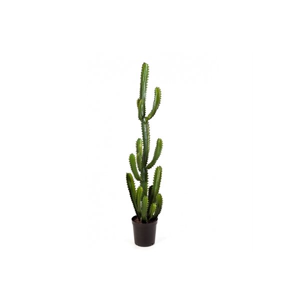 Kunstig finger kaktus - H: 136 cm