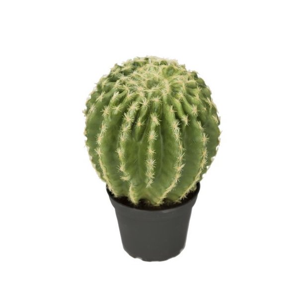 Kunstig rund kaktus - H: 23 cm