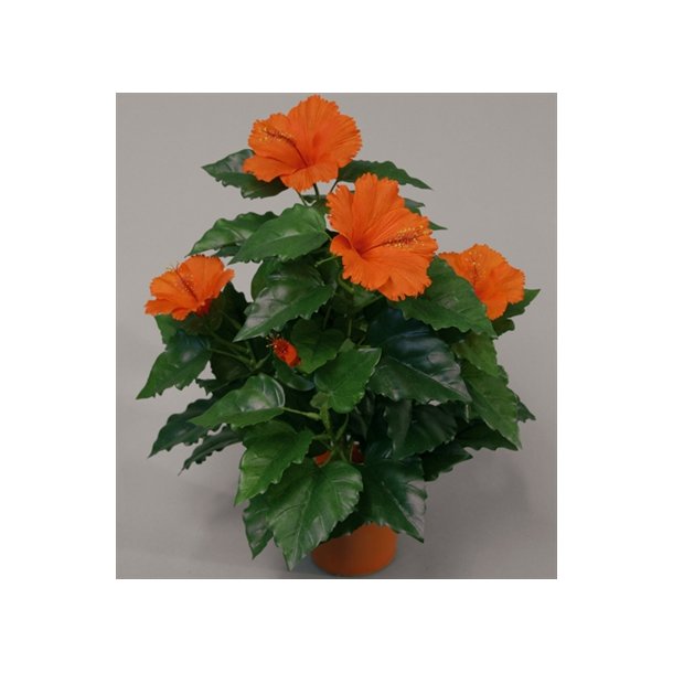 Kunstig hibiscus orange - H: 42 cm