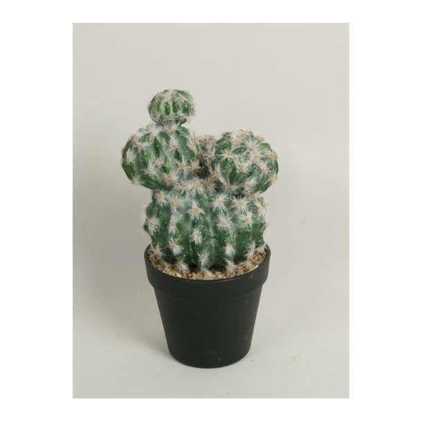 Kunstig kaktus med potte - H: 28 cm