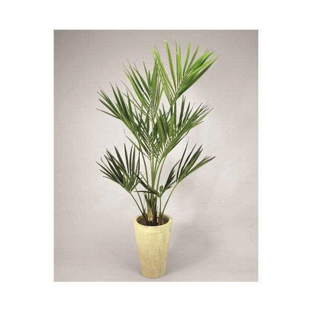Kunstig kentia palme - H: 170 cm