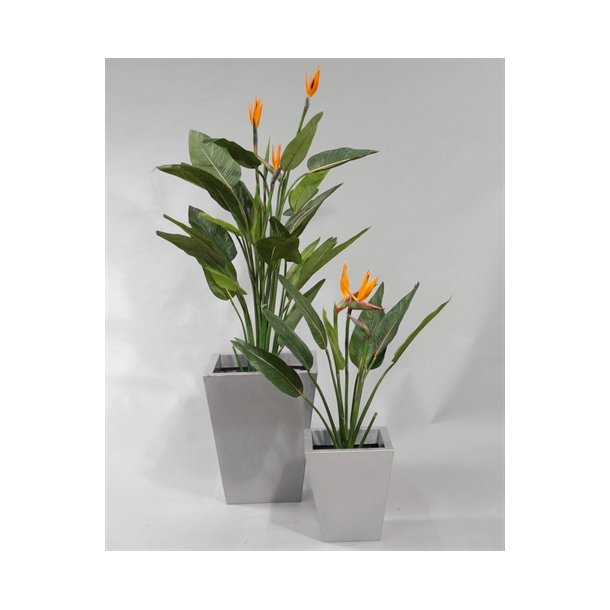 Kunstig Strelitzia med blomster - H: 115 cm