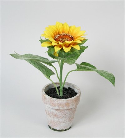 Kunstig mini solsikke med potte - 21 cm - Kunstige potteplanter - Green Trading ApS